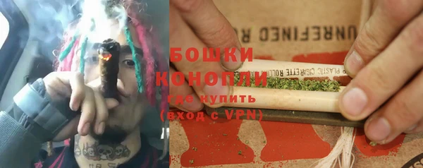 спайс Нея