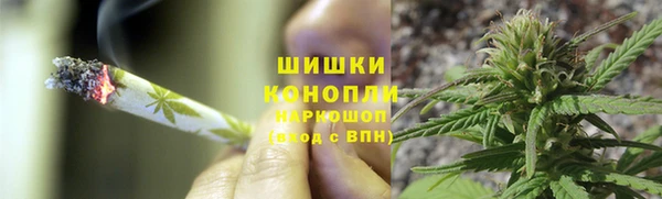 спайс Нея
