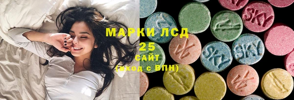 спайс Нея