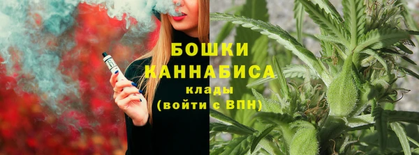 спайс Нея