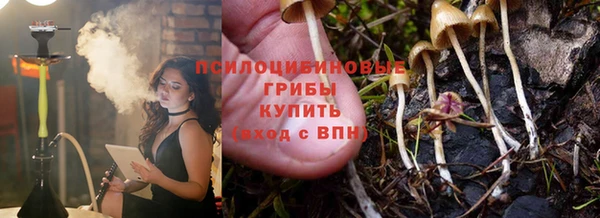 стафф Нефтекумск